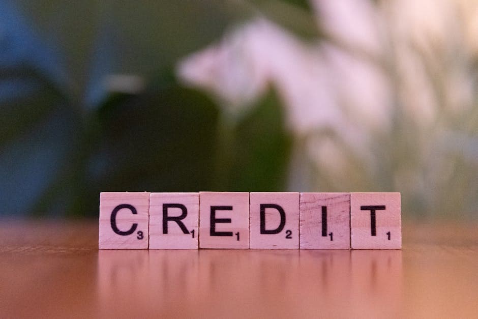 Credit Score Improvement in India: The 90-Day Action Plan Before You Apply for a Loan