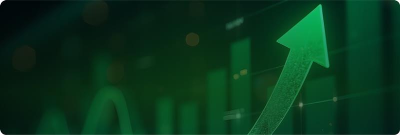 Financial Due Diligence: The Cornerstone of Sound Investment Strategies